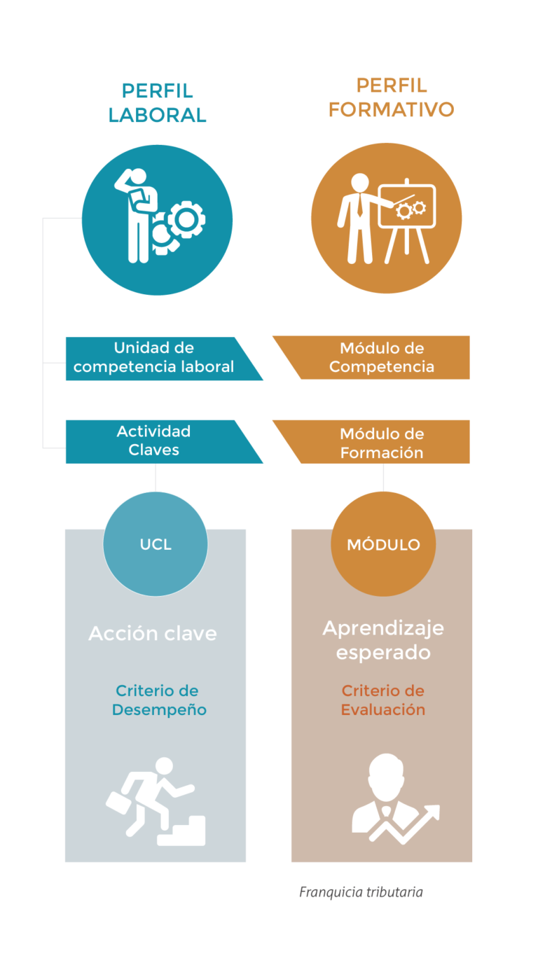 Diagrama del plan de formación Edinse